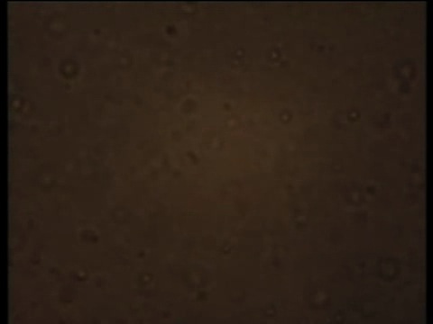 Le mouvement Brownien.mp4